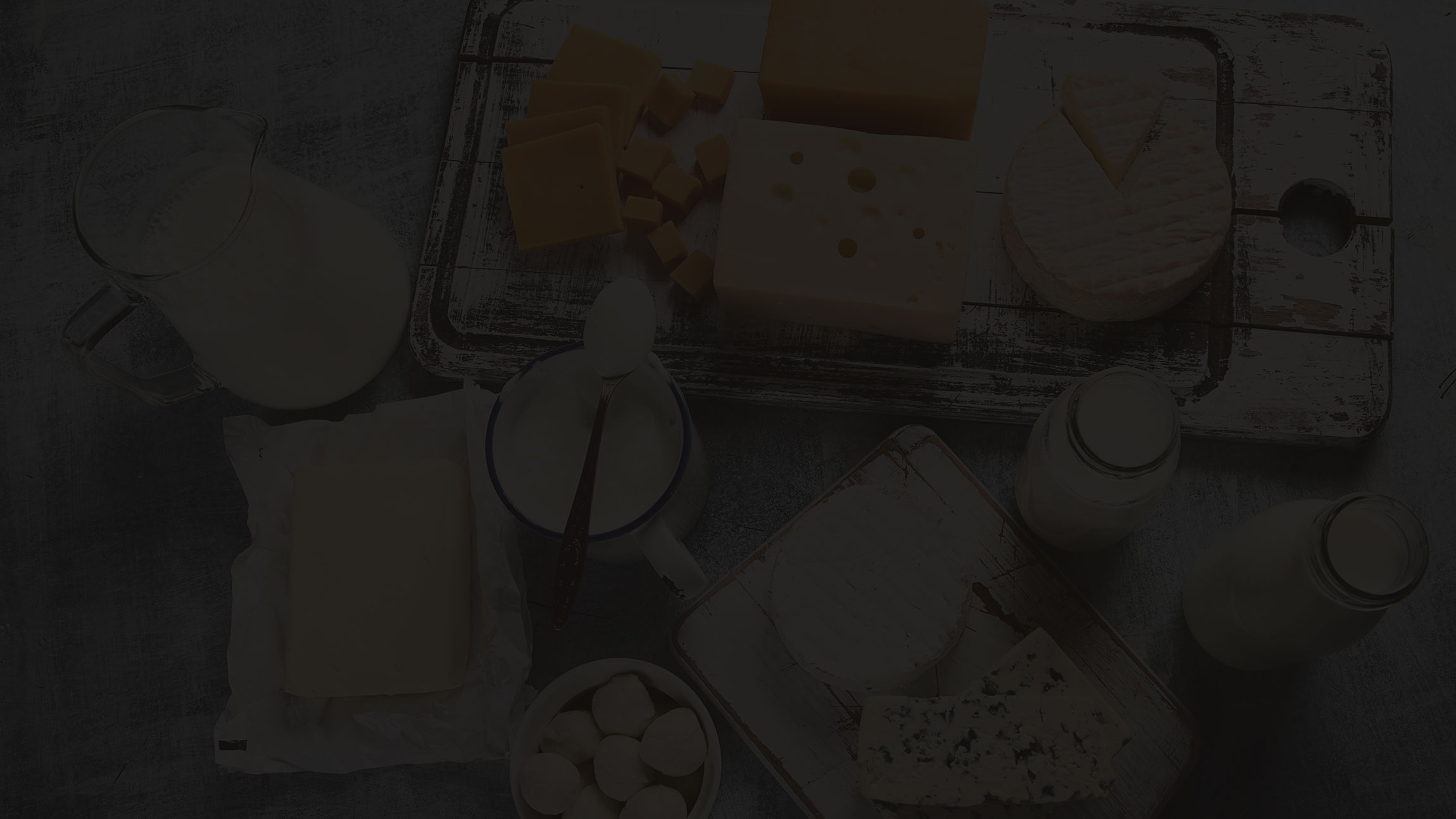 Contact Us for High Quality Products MT Food Group